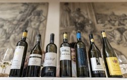 Pinot Bianco