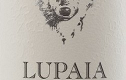 Castorani Colline Pescaresi Pecorino Lupaia Orange 2021
