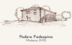 podere fedespina logo cantina vini toscana