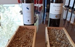 Poliziano Terreni Vigneti Asinone Le Caggiole
