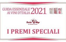 Guida Essenziale 2021 i premi speciali