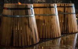 Produzione Barrique vino