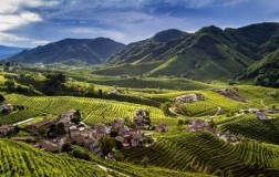 Prosecco Hills: rete d'impresa enoturistica - Cartizze