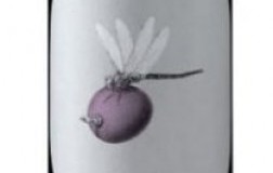 Pugnitello-2013.jpg