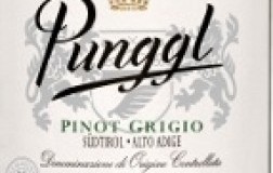 Punggl-2015.jpg