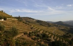 quinta do noval douro valley