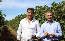 Recepit, il rosato da guarnaccino nero di 600 Grotte 