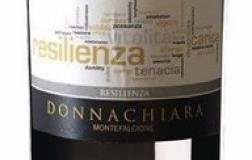 Resilienza-Falanghina-2016.jpg
