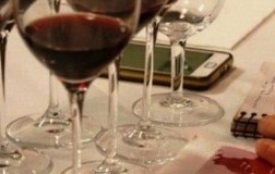Retrospettiva Sangiovese 2006