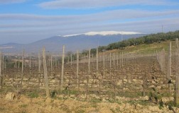 Ricco di suggestioni
