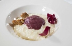Risotto allo Storico Ribelle, spuma di trevisano e animelle glassate alla vaniglia