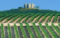 Rivera Castel del Monte Vigneti Cappellaccio Riserva 2008 