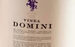 Roma Bianco 2020 Vinea Domini