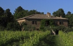 Rosato Marella, la giusta sfumatura di rosa