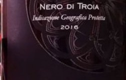 Placido Volpone Puglia Rosone 2016