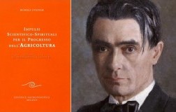 Editoriale Daniele Cernilli DoctorWine Rudolf Steiner