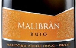 Ruio-Brut-2016.jpg