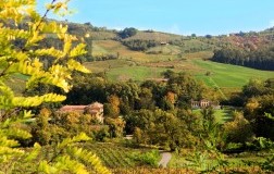 Sabotaggio in cantina dai Conti Vistarino