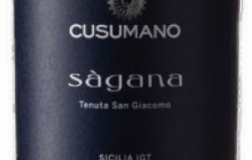 Sagana-2013.jpg