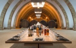 Sala-Degustazione-Florio-Marsala