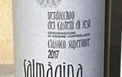 Zaccagnini Verdicchio dei Castelli di Jesi Classico Superiore Salmagina vino bianco Marche