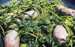 salsiccia e friarelli ricetta doctorwine