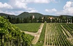 San Felice, il paladino del Pugnitello 
