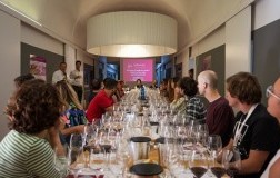 Summer Shool di Sanguis Jovis, alta scuola del Sangiovese