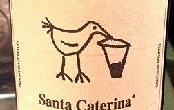 Santa-Caterina-lotto-2011.jpg