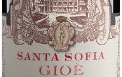 Santa Sofia Amarone della Valpolicella Classico Gioè 2013