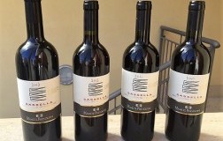 Sassella Prevostini, la Valtellina a portata di mano (2)