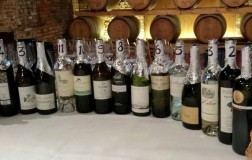 Sauvignon del mondo
