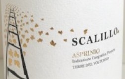 Drengot Scalillo Asprinio