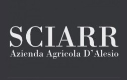 D’Alesio Sciarr logo