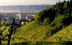 Se il Prosecco è il Superiore