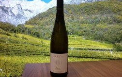 Selida, il nuovo gewürztraminer di Tramin