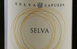 Podere Selva Capuzza Lugana Selva 2019