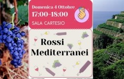 Seminario Rossi Mediterranei DoctorWine