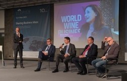 Sessione Istituzionale Vinitaly 2024