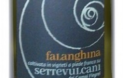 Settevulcani-Falanghina-2015.jpg