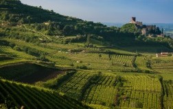 Soave Preview: tra paesaggio e biodiversità