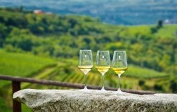 Progetto SIMPOSIO per longevità Soave