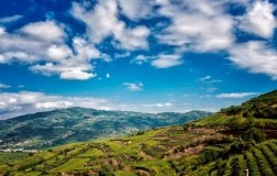 Soave: si imbottiglia solo in zona