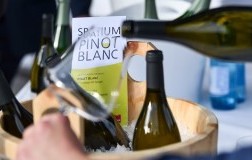 Spatium Pinot Blanc 1