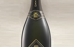 Spumante-Brut-Metodo-Classico-Riserva-2008.jpg