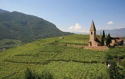 Storia e qualità altoatesine