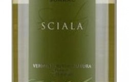 surrau Sciala vermentino di gallura vino bianco sardegna