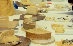 Tanti stagionati di sola Bruna a Bari - Parmigiano Reggiano