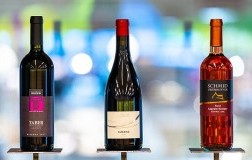 vini vincitori tasting lagrein 2019