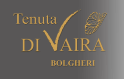 Tenuta-Di-Vaira.png